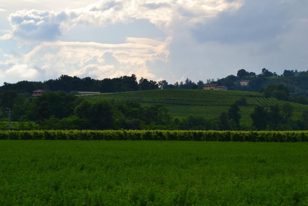 Crocetta del Montello Bed And Breakfast Villa Novella מראה חיצוני תמונה